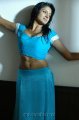 Vimala Raman Hot Saree Stills