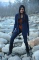 Vimala Raman @ Kullu Manali Movie Stills