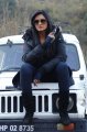 Vimala Raman @ Kullu Manali Movie Stills