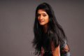 Actress Vimala Raman Wallpapers