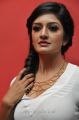 Actress Vimala Raman New Pics in White Top