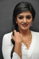 Actress Vimala Raman New Pics in White Top