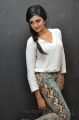 Actress Vimala Raman in White Top Pics