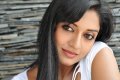 Vimala Raman Hot Photo Shoot Pics