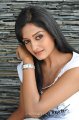 Vimala Raman Hot Photo Shoot Pics