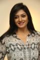 Heroine Vimala Raman Photos at Art Life