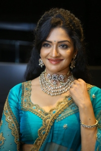 Rudrangi Movie Actress Vimala Raman New Pics