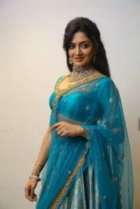 Actress Vimala Raman New Pics @ Rudrangi Pre Release