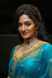 Actress Vimala Raman New Pics @ Rudrangi Pre Release