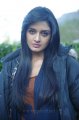 Vimala Raman in Kullu Manali Stills