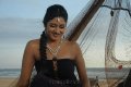 Vimala Raman Hot Unseen Stills