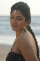 Vimala Raman Hot Unseen Stills