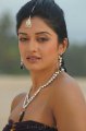 Vimala Raman Hot Unseen Stills