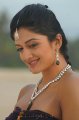 Vimala Raman Hot Unseen Stills