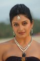 Vimala Raman Hot Unseen Stills