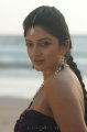 Vimala Raman Hot Unseen Stills