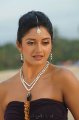 Vimala Raman Hot Unseen Stills