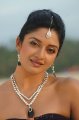 Vimala Raman Hot Unseen Stills