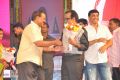 Vinavayya Ramayya Movie Audio Launch Stills