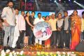 Vinavayya Ramayya Movie Audio Launch Stills