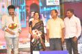 Vinavayya Ramayya Movie Audio Launch Stills