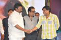 Vinavayya Ramayya Movie Audio Launch Stills