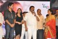 Vinavayya Ramayya Movie Audio Launch Stills