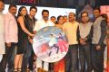 Vinavayya Ramayya Movie Audio Launch Stills