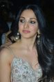 Actress Kiara Advani @ Vinaya Vidheya Rama Pre Release Photos