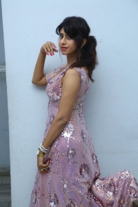 Actress Vindhya Tiwari Stills @ Iddaru Pre Release