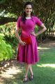 Sanjana Singh @ Vingyani Movie Press Meet Stills