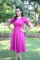 Sanjana Singh @ Vingyani Movie Press Meet Stills