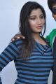 Actress Vinny Photos at Buchhi Babu Press Meet