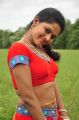 Vinura Vema Telugu Movie Actress Stills