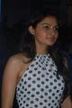 Actress Andrea Jeremiah at Virattu Audio Launch Photos