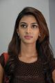 Tamil Actress Erica Fernandes in Virattu Movie Stills