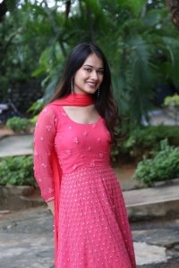 Actress Virti Vaghani Pink Dress Pics @ Kotha Kothaga Success Meet