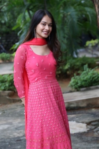 Actress Virti Vaghani Pink Dress Pics @ Kotha Kothaga Success Meet