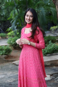 Actress Virti Vaghani Pink Dress Pics @ Kotha Kothaga Success Meet