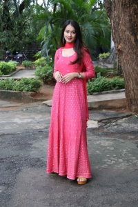 Actress Virti Vaghani Pink Dress Pics @ Kotha Kothaga Success Meet