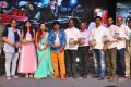 Virus Telugu Movie Audio Launch Stills