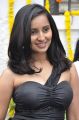 Telugu Actress Vishika Singh Hot Pics in Black Dress