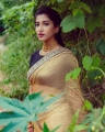 Anchor Vishnu Priya Bhimeneni Photoshoot Stills