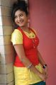 Telugu Actress Vishnu Priya Latest Photos