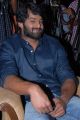 Actor Prabhas at Viswaroopam Movie Success Meet Photos