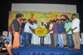 Visiri Movie Audio Launch Stills