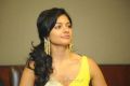 Pooja Kumar at Viswaroopam DTH Launch Hyderabad Photos