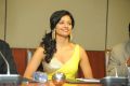 Actress Pooja Kumar @ Viswaroopam Premiere DTH Launch Photos