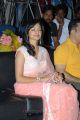 Pooja Kumar at Viswaroopam Telugu Movie Audio Launch Pictures