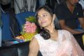 Viswaroopam Telugu Movie Audio Launch Stills